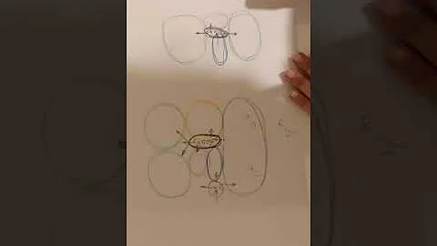 What are bubble diagrams?