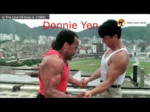 DONNIE YEN | Best Fight Scenes Clip Compilation 1