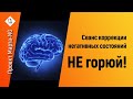 Сеанс коррекции негативных состояний Не горюй |  Проект Марта-NG