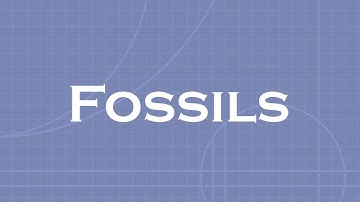 Fossils: STEM education projects for kids / pupils / adults / teachers with a guest palaeontologist