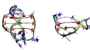 Minimal G-quadruplexes