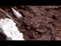 Exploring the Canadian Arctic and the Discovery of Tiktaalik