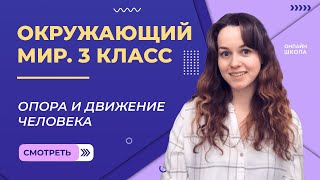 Опора и движение человека. Видеоурок 18. Окружающий мир 3 класс