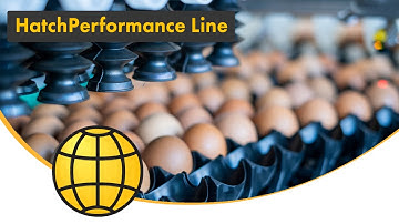 HatchPerformance Line | Egg Packer, Grader & Trolley Loader for Fertilized Egg Handling | SANOVO