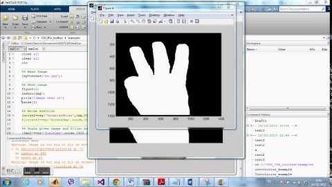 Count the number of fingers on a hand using MATLAB and VSG toolbox
