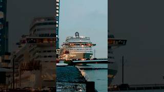 Walking in The Netherlands Cruise Ship and Erasmus Bridge • 4K ASMR