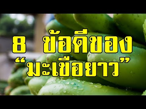 วีดีโอ: ประโยชน์ของมะเขือยาว