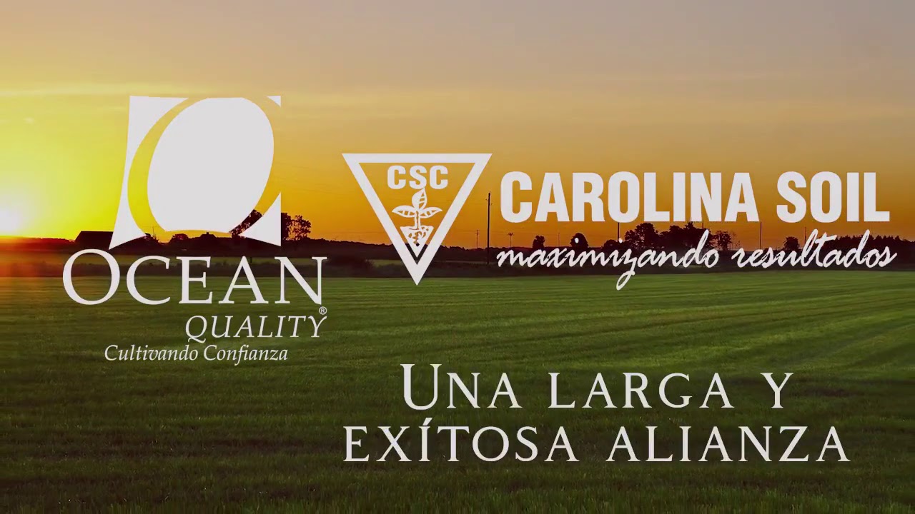 Substrato Carolina...