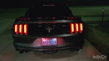 2017 Ford Mustang V6 COLD START! (X Pipe & Muffler Delete)