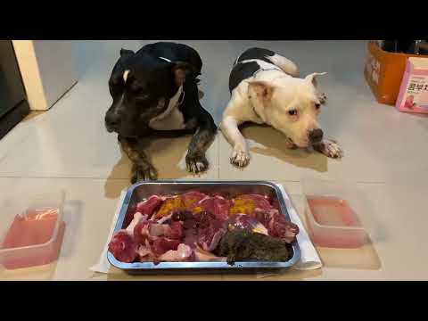 🐶🐶Oli&nomy: From RAW Shopping to RAW Feeding[ASMR]MUKBANG 犬が生の肉を食べる[咀嚼音] Dog VLOG | SEPT/20/2022 EP.