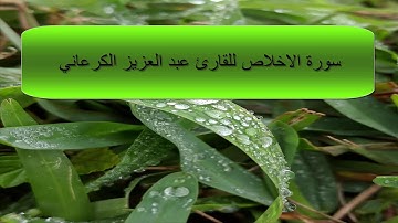 سورة الاخلاص بصوت القارئ عبد العزيز الكرعاني