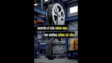 Nguyên lý hoạt động của ròng rọc
