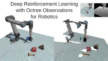 Evaluation of End-to-End Policy for Robotic Grasping from Visual Octree-based Observations