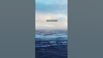 Một đứa trẻ hiểu chuyện là một đứa trẻ ngoan #shorts #azvietnam #booktok