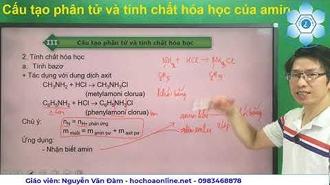 Amin trong hóa học được phiên âm như thế nào