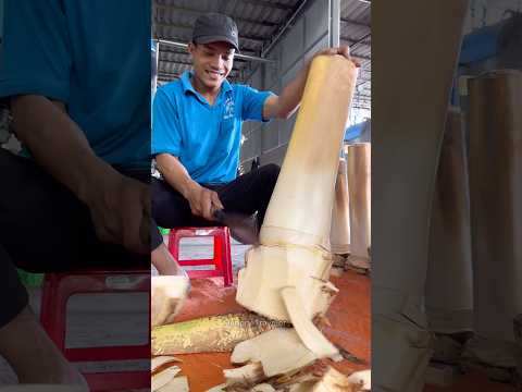 Amazing Big Coconut Tree Cutting Skill - Fruits Cutting Skill