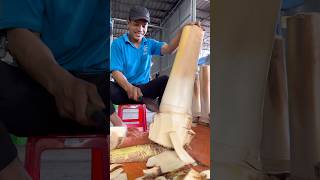 Amazing Big Coconut Tree Cutting Skill - Fruits Cutting Skill