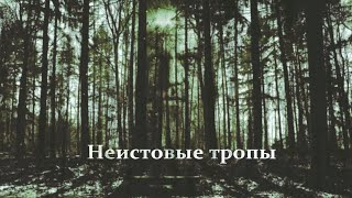 Неистовые Тропы. Короткометражный Фильм. Неистовые Тропы. Короткометражный Фильм.