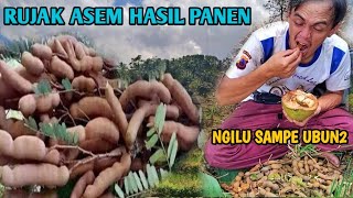 SAMPE NGILERR...MUKBANG RUJAK ASAM JAWA HASIL PANEN DI TENGAH SAWAH