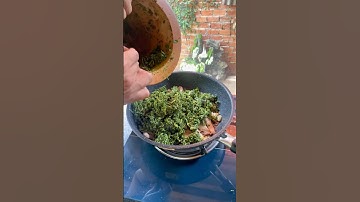 Lá mì xào cà dại rừng