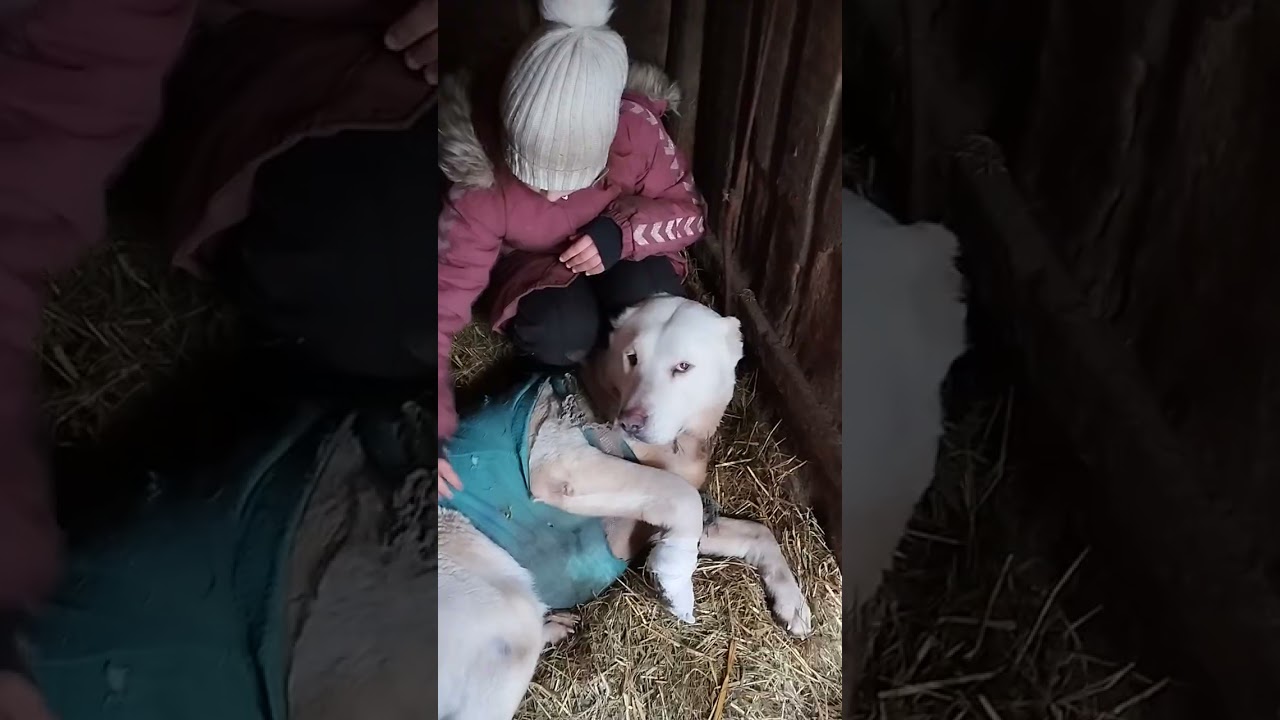 Смаколик для Лилочки 