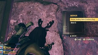 Fallout 76 Asylum mirror run