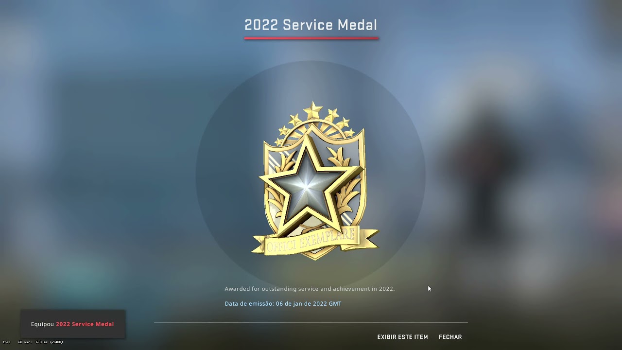 CSGO SERVICE MEDAL 2022 - YouTube