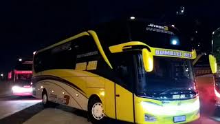 15 UNIT JETBUS 3 MERAMAIKAN RM KURNIA JATIM TUBAN, di Malam Hari