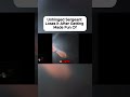 Unhinged Sergeant Loses It After Getting Made Fun Of