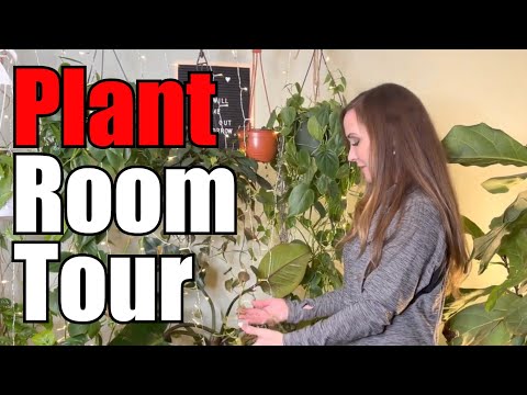 Plant Room Tour | Plant Styling Ideas | Make a Plant Room | Plant Room Refresh | Large House Plants