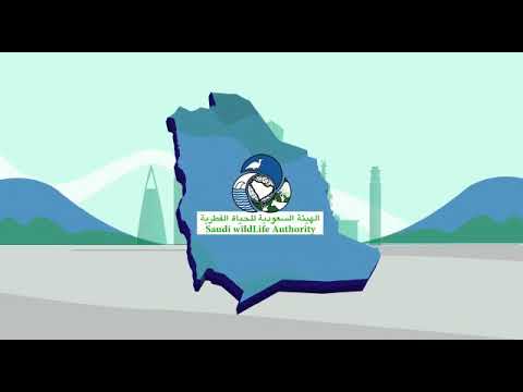 اليوم العالمي للحياة الفطرية ٢٠١٩م