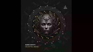 Sonic Entity - Celestial Seeds