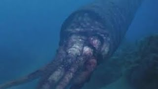 cameroceras : sea monsters screenshot 5