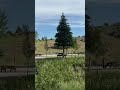 Video of Lava Campground, ID from Jeremy H.
