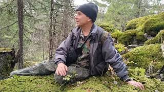 картинка: Дальше в лес, больше впечатлений.