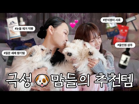 ‼️강아지 키우면 무조건 시청‼️ 부산 극성 🐶맘들의 지갑 탈탈 추천템!