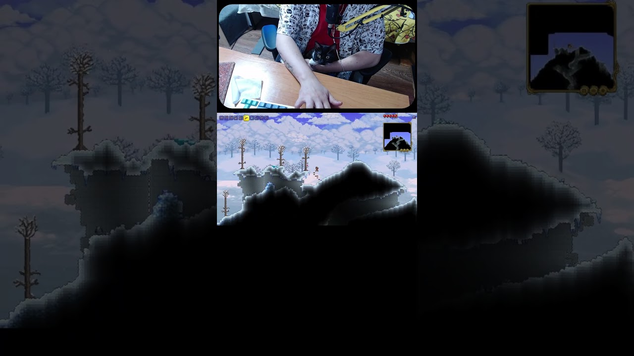 Чача core -  таймлапс на стриме но это террария, кот пришел на стрим - chacha