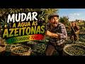 Explorador Tuga - Mudar a Água às Azeitonas - Maio 2026