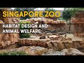 Singapore Zoo - Habitat Design and Showcase [4K60FPS]