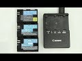 Different type of Canon LP-E6 Batteries