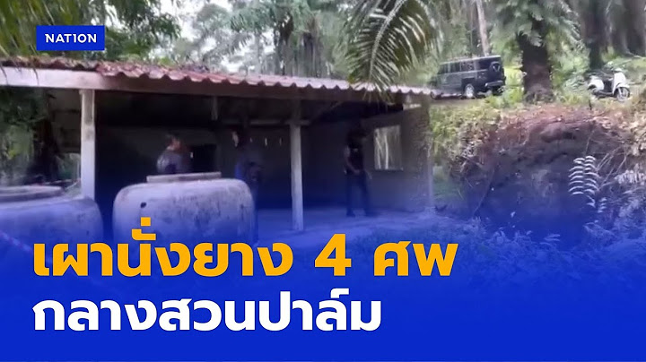 ไล่ล่าคนร้ายเผานั่งยาง4ศพกลางสวนปาล์ม 170 ไร่ | เนชั่นทันข่าวค่ำเสาร์ - อาทิตย์ | NationTV22