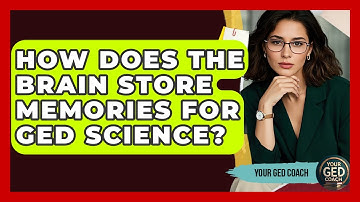 How Does The Brain Store Memories For GED Science? - Your GED Coach