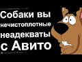 Переписки Реддит Отдай Бесплатно и Неадекваты с Авито