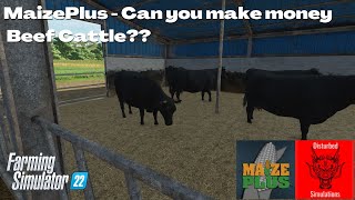 Can you make money - Beef Cattle- MaizePlus - FS22