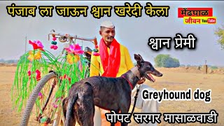 पंजाब ला जाऊन श्वान खरेदी केला. श्वान प्रेमी!! shwan Premi. Greyhound dog race  पोपट सरगर शाहीर