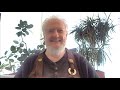 Ep 43  taiun michael elliston  zen teacher interview zen podcast