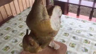 Курица холодного копчения. Курица холодного копчения.