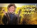 КАК ЖИВУТ ОЛЕНЕВОДЫ НА КРАЙНЕМ СЕВЕРЕ! Ненцы, олени и собаки посреди ямальской тундры