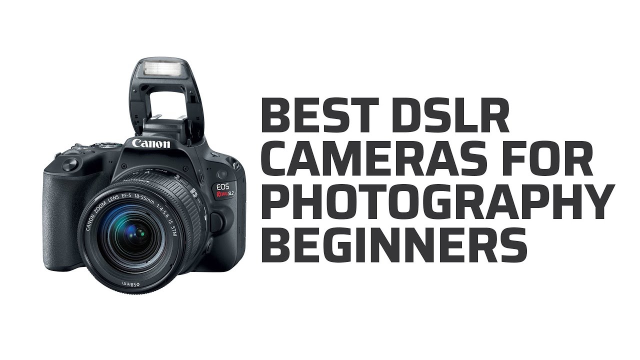 Best DSLR Cameras For Photography Beginners - Best Camera