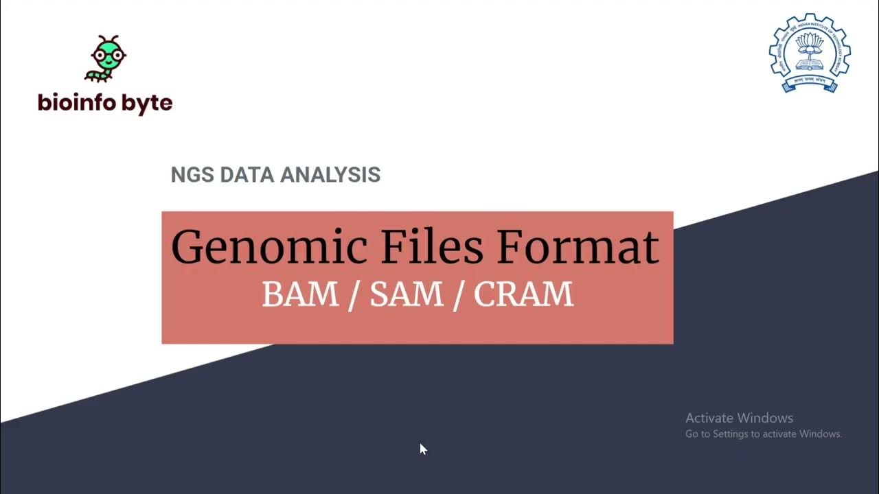 Genomic file formats BAM / SAM file format YouTube